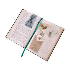Critical Role Books><noscript><img width=